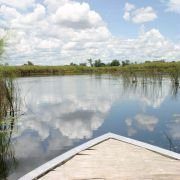 African Adventure: Safari in the Okavango - galeria zdjęć - filmweb