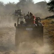 African Adventure: Safari in the Okavango - galeria zdjęć - filmweb