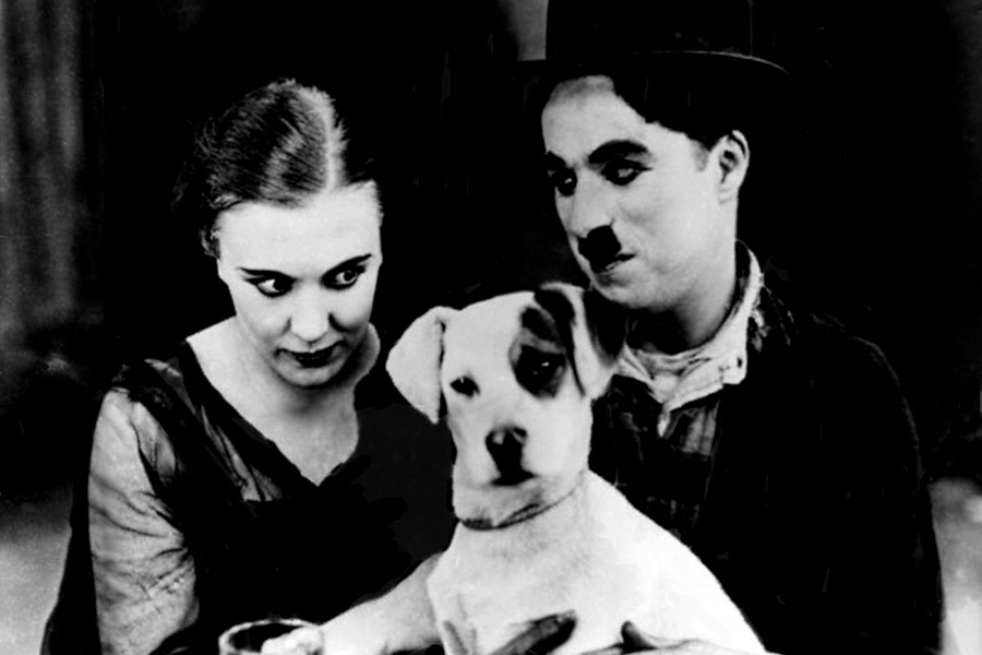 Rewia Chaplina - galeria zdjęć - filmweb