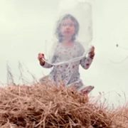 Las - galeria zdjęć - filmweb