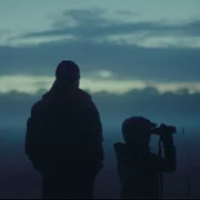 Las - galeria zdjęć - filmweb