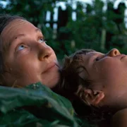Las - galeria zdjęć - filmweb