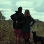 Las - galeria zdjęć - filmweb