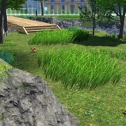 Pok&eacute;mon Legends: Z-A - galeria zdjęć - filmweb