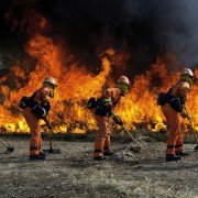 Firelight - galeria zdjęć - filmweb