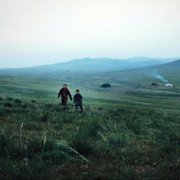 Żyły świata - galeria zdjęć - filmweb