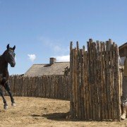 Godless - galeria zdjęć - filmweb
