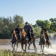 Godless - galeria zdjęć - filmweb