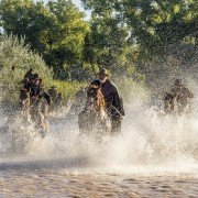 Godless - galeria zdjęć - filmweb