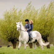 Przygody Finna - galeria zdjęć - filmweb