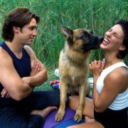 Kommissar Rex - galeria zdjęć - filmweb