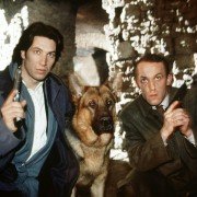 Kommissar Rex - galeria zdjęć - filmweb
