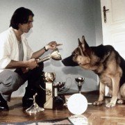 Kommissar Rex - galeria zdjęć - filmweb