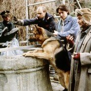 Kommissar Rex - galeria zdjęć - filmweb