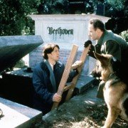 Kommissar Rex - galeria zdjęć - filmweb