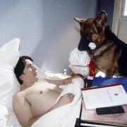 Kommissar Rex - galeria zdjęć - filmweb