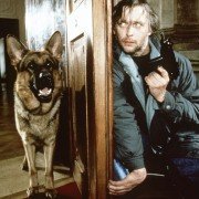 Kommissar Rex - galeria zdjęć - filmweb