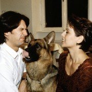 Kommissar Rex - galeria zdjęć - filmweb