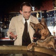 Kommissar Rex - galeria zdjęć - filmweb