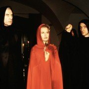 Kommissar Rex - galeria zdjęć - filmweb
