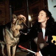 Kommissar Rex - galeria zdjęć - filmweb
