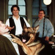 Kommissar Rex - galeria zdjęć - filmweb