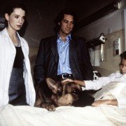Kommissar Rex - galeria zdjęć - filmweb