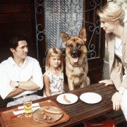 Kommissar Rex - galeria zdjęć - filmweb