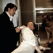 Kommissar Rex - galeria zdjęć - filmweb