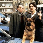 Kommissar Rex - galeria zdjęć - filmweb