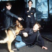 Kommissar Rex - galeria zdjęć - filmweb