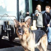 Kommissar Rex - galeria zdjęć - filmweb