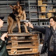 Kommissar Rex - galeria zdjęć - filmweb