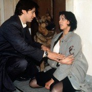 Kommissar Rex - galeria zdjęć - filmweb