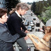 Kommissar Rex - galeria zdjęć - filmweb