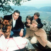 Kommissar Rex - galeria zdjęć - filmweb