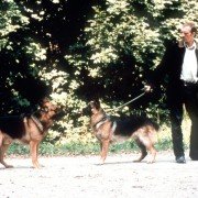 Kommissar Rex - galeria zdjęć - filmweb
