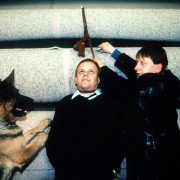 Kommissar Rex - galeria zdjęć - filmweb