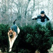 Kommissar Rex - galeria zdjęć - filmweb
