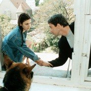 Kommissar Rex - galeria zdjęć - filmweb