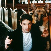 Kommissar Rex - galeria zdjęć - filmweb