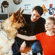 Kommissar Rex - galeria zdjęć - filmweb