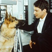 Kommissar Rex - galeria zdjęć - filmweb
