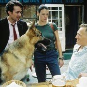 Kommissar Rex - galeria zdjęć - filmweb