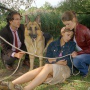 Kommissar Rex - galeria zdjęć - filmweb