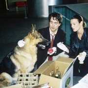 Kommissar Rex - galeria zdjęć - filmweb