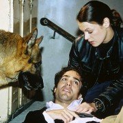 Kommissar Rex - galeria zdjęć - filmweb