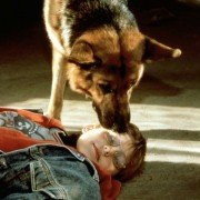 Kommissar Rex - galeria zdjęć - filmweb