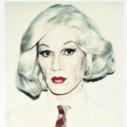 Pamiętnik Andy’ego Warhola - galeria zdjęć - filmweb