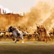 Alpha and Omega - galeria zdjęć - filmweb